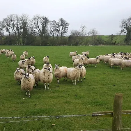 Old Orchard Cottage, Wykeham Lägenhet Scarborough