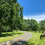 Apartman Old Orchard Cottage, Wykeham *
