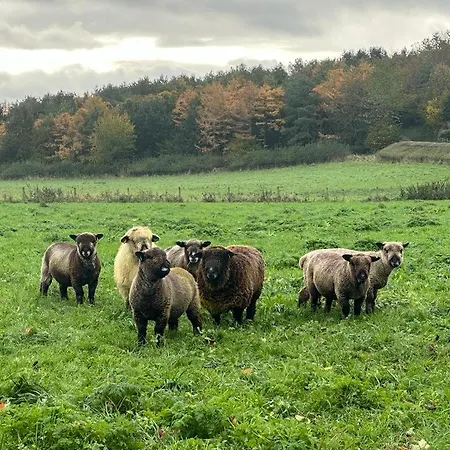 Old Orchard Cottage, Wykeham Scarborough