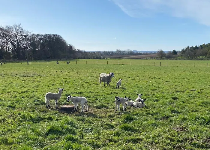 Old Orchard Cottage, Wykeham