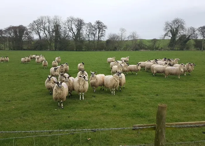 Old Orchard Cottage, Wykeham Apartamento Scarborough