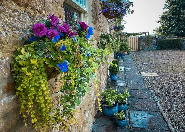 Old Orchard Cottage, Wykeham