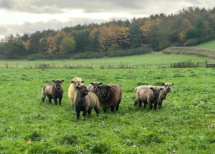 Old Orchard Cottage, Wykeham Scarborough